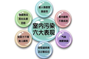 除甲醛最有效方法及关键注意事项 | 艾逸网技术指南
